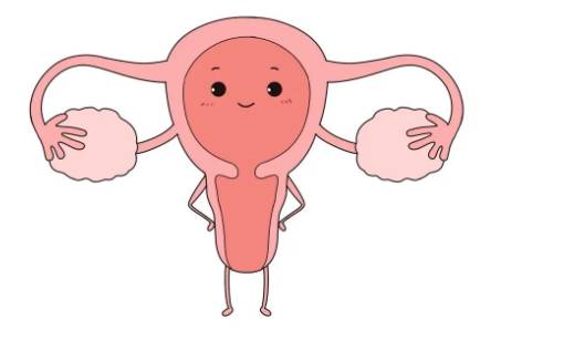 宁波三代试管助孕中心：取卵半个月坐着右侧酸痛，可能跟这些原因有关